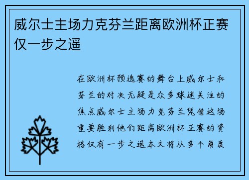 威尔士主场力克芬兰距离欧洲杯正赛仅一步之遥